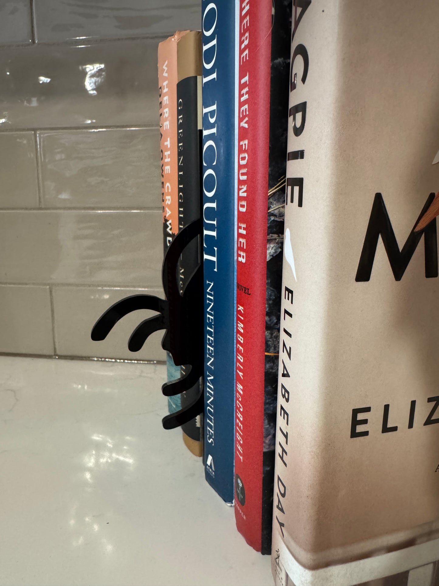 Spider Bookshelf Silhouette