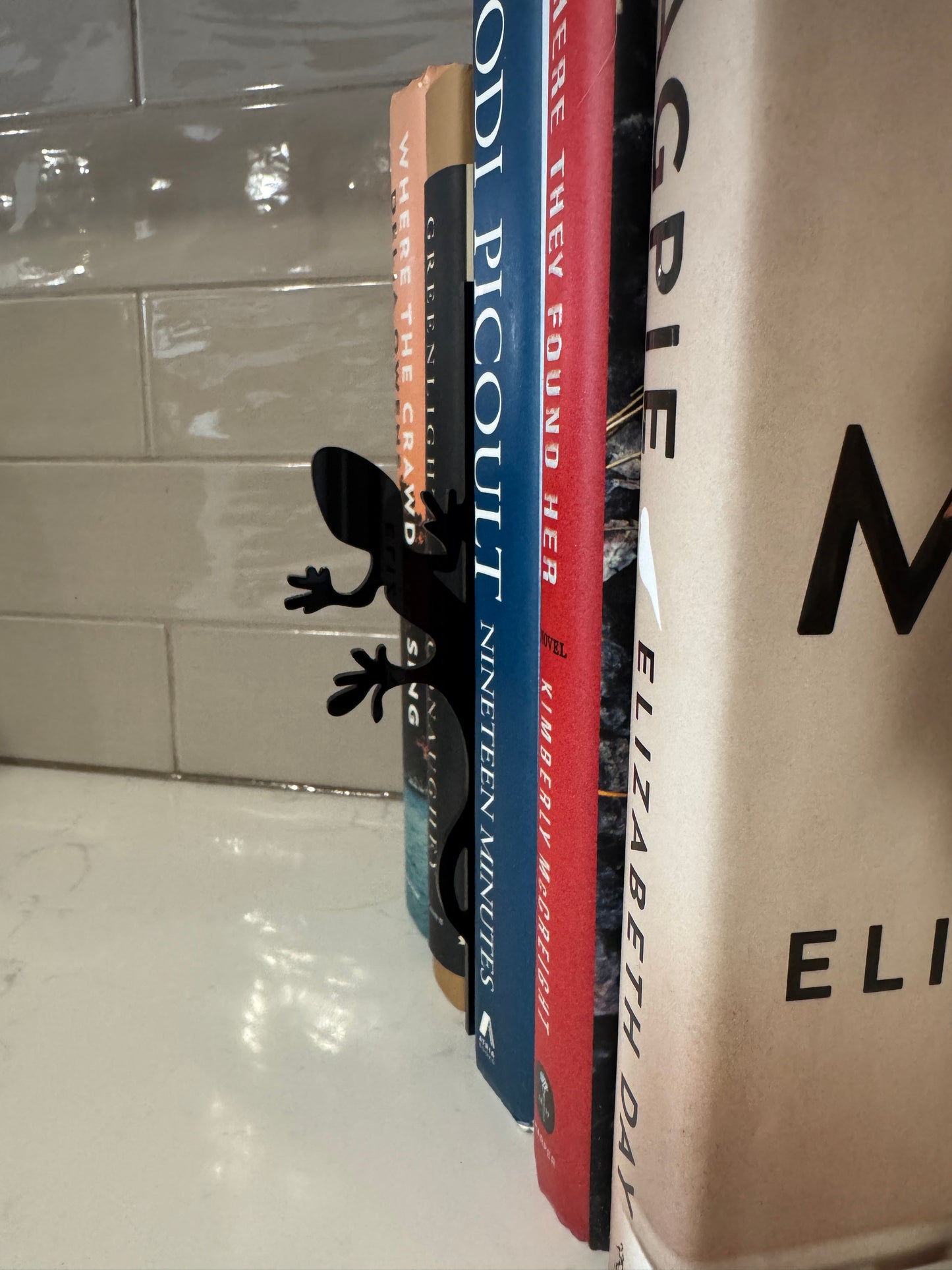 Gecko Bookshelf Silhouette