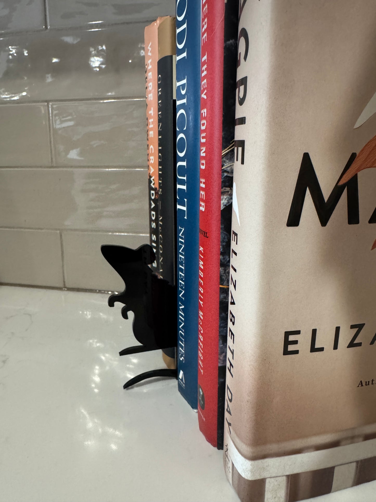 Mouse Bookshelf Silhouette