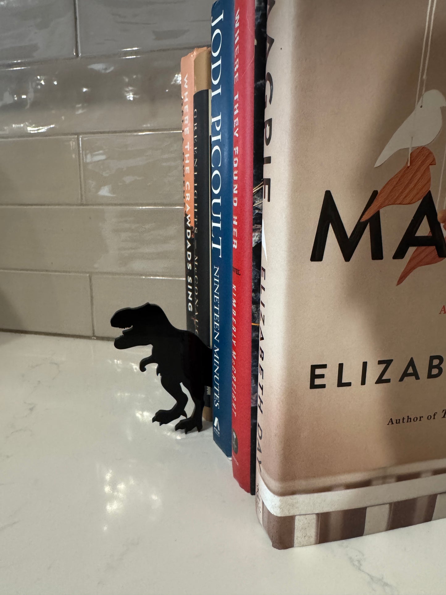 Dinosaur Bookshelf Silhouette