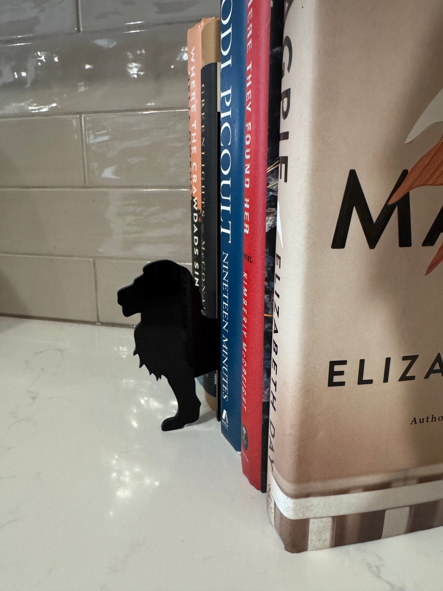 Lion Bookshelf Silhouette