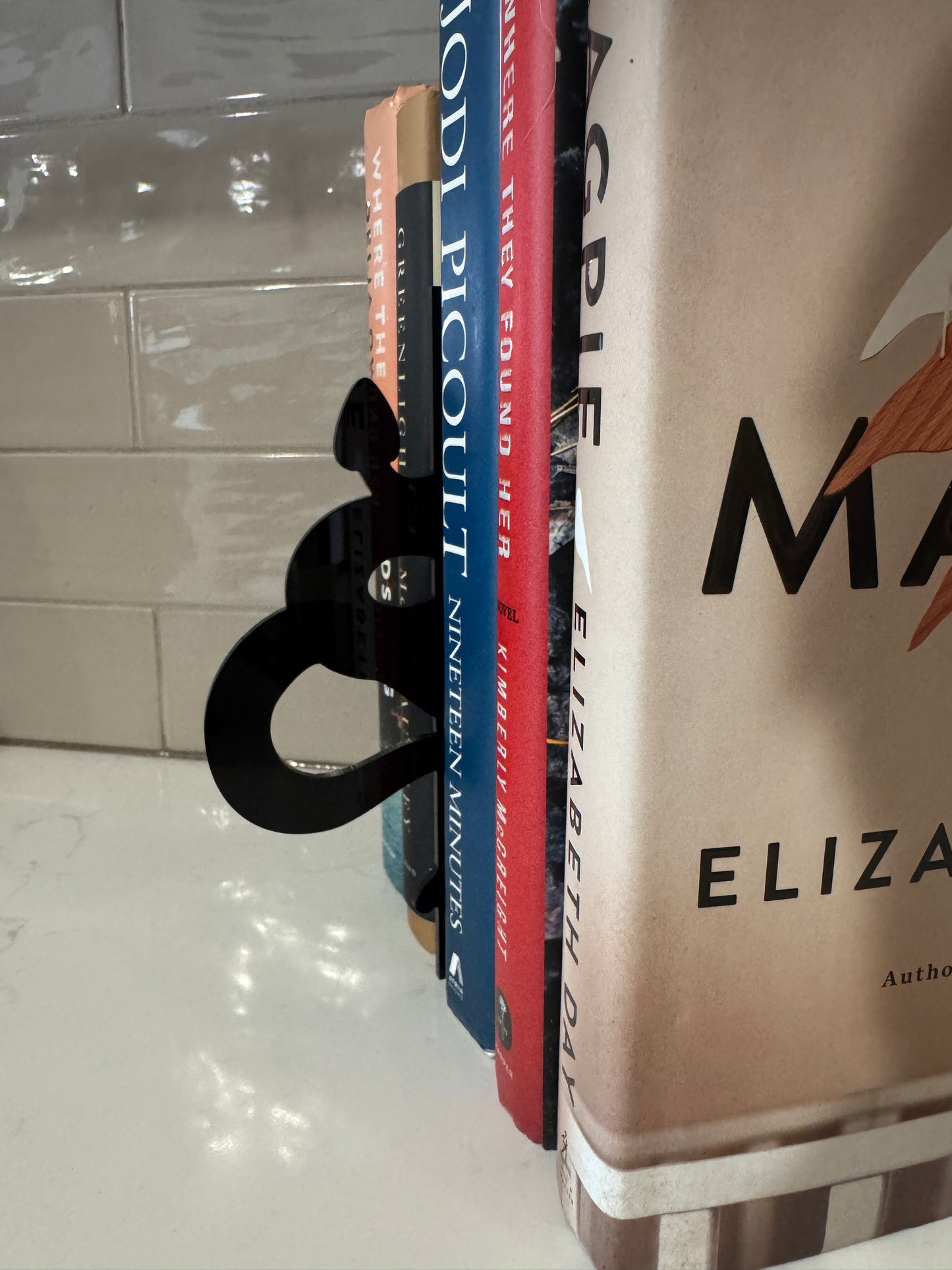 Snake Bookshelf Silhouette