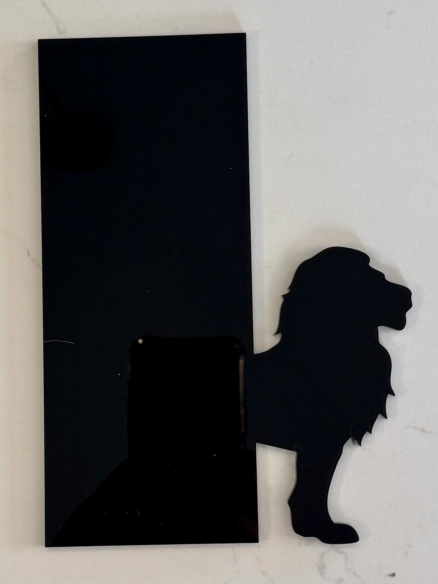 Lion Bookshelf Silhouette
